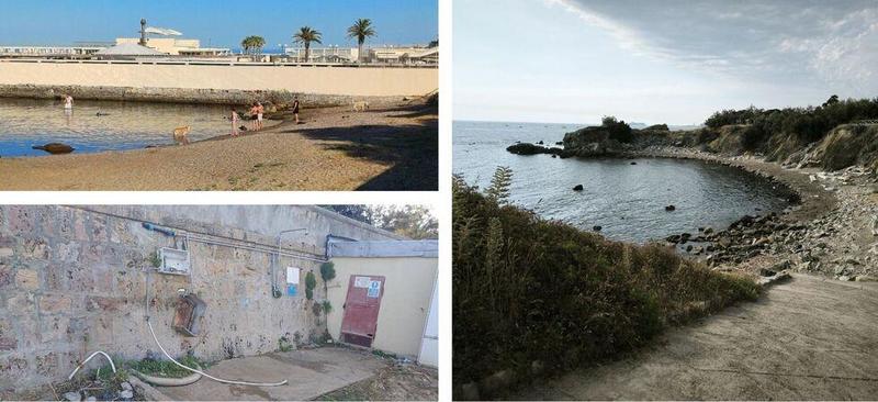 Poveri amici a 4 zampe: per loro a Livorno solo spiagge “da cani”