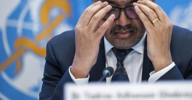 Perché questa Oms non può più decidere per tutti