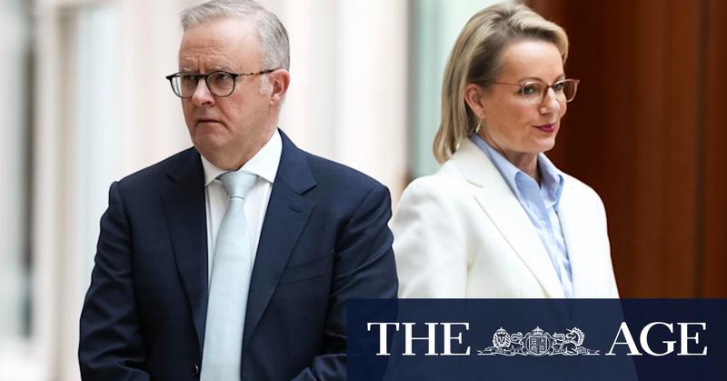 Political enemies join parliament’s first-day love-in. Day two will be a different story