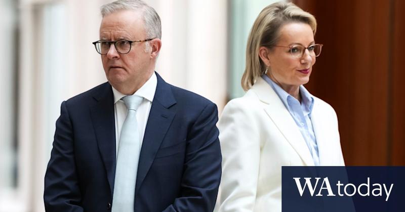 Political enemies join parliament’s first-day love-in. Day two will be a different story