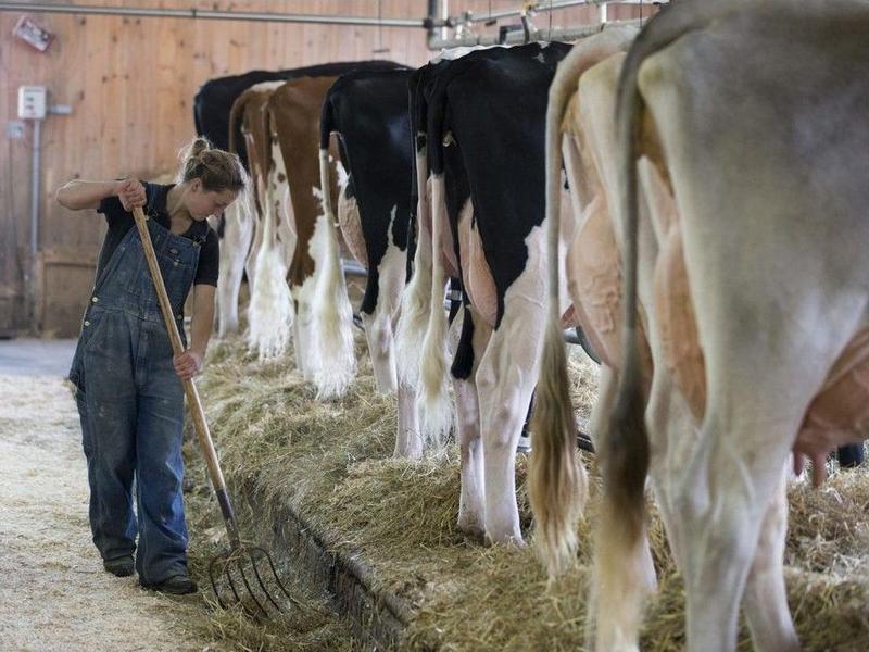 Breakenridge: Defying supply management could lead to beneficial changes