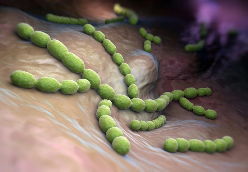 Neumonía, meningitis y otras enfermedades causadas por neumococos: la importancia de la vacunación