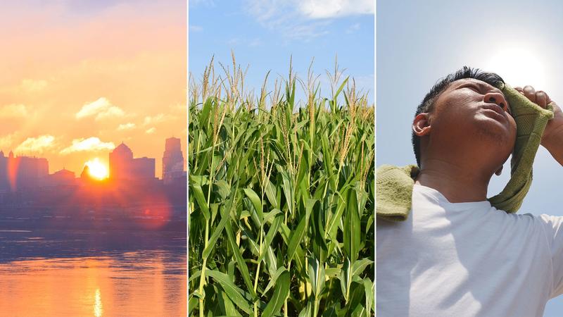 Why ‘corn sweat’ will make this week’s heat wave even worse