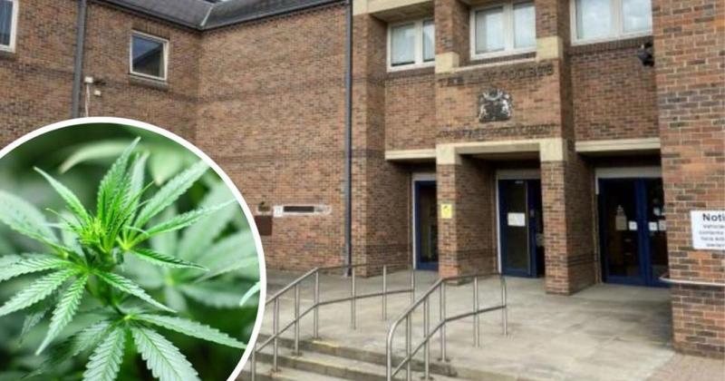 Teenage drug dealer admits having more than 20 kilos of cannabis