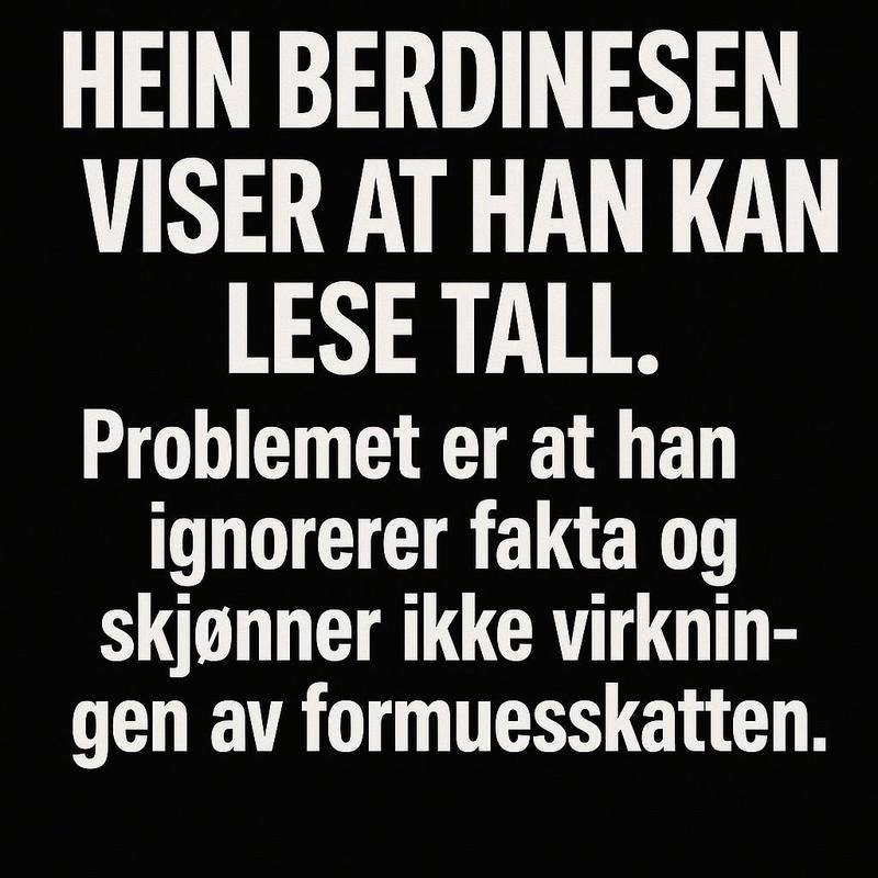 Når teori møter virkelighet. Et motsvar til Hein Berdinesen