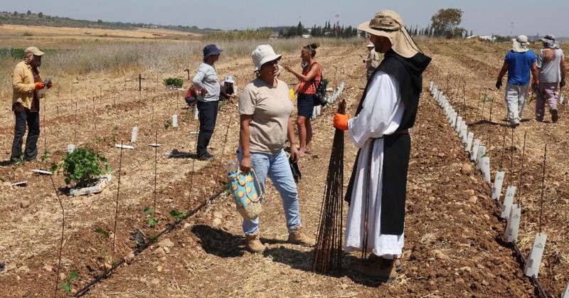 New vines bring hope to Israeli monastery scorched by wildfire