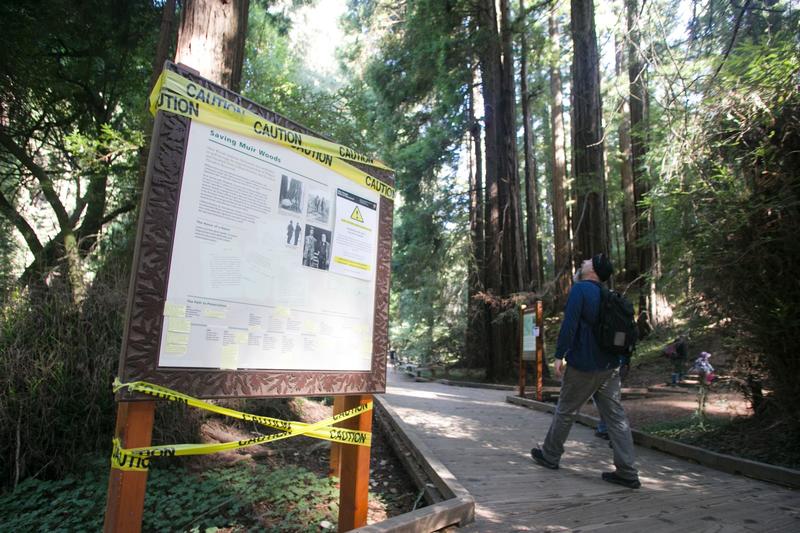 Muir Woods exhibit is first casualty of White House directive to erase history