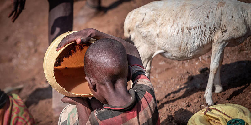 Climate-Driven Hunger Will Fuel the Next Migration Crisis