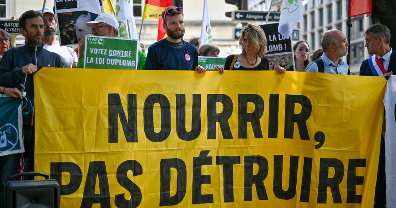 Loi Duplomb : la contre-offensive face à un modèle agricole mortifère