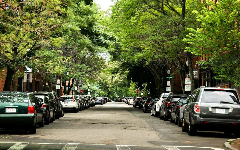 2 ways cities can beat the heat: Which is best, urban trees or cool roofs?