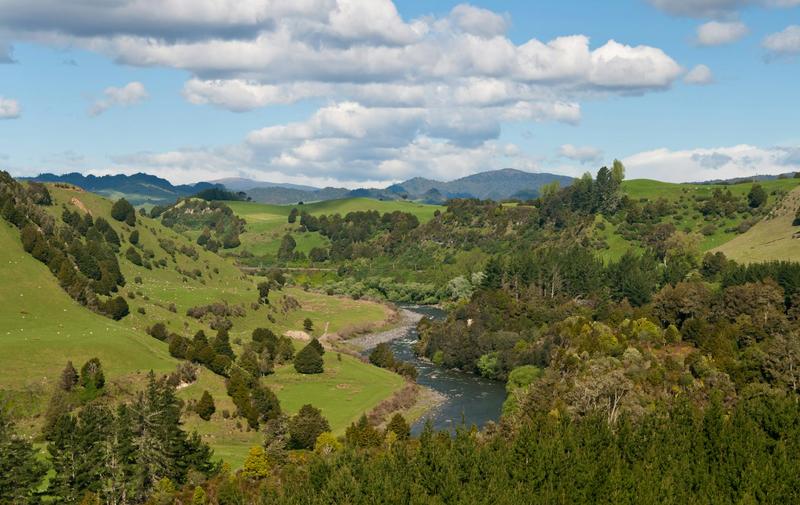 How the nature of environmental law is changing in defense of the planet and the climate