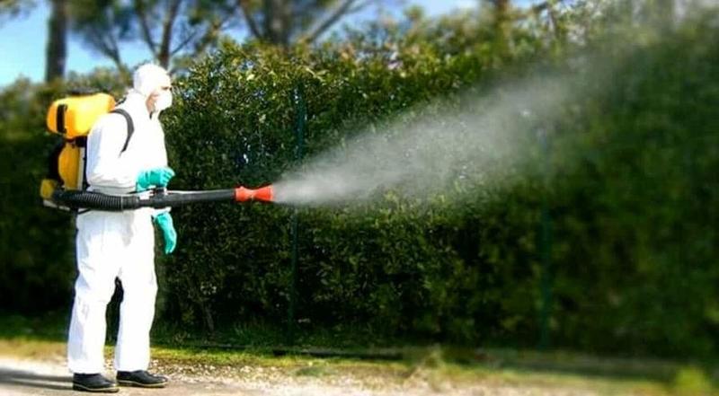 Livorno, dimessa la trentenne con la Dengue: «Controllatevi di ritorno dai viaggi»