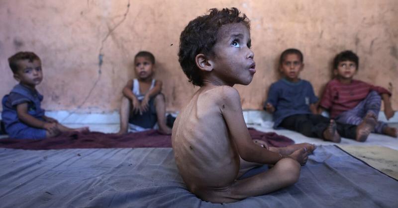 WHO chief says 'large proportion' of Gaza's people 'starving'