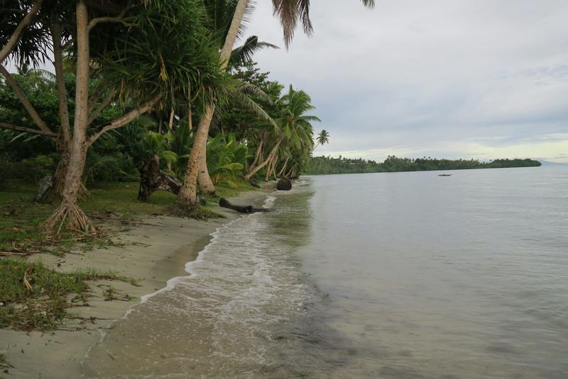 As seas rise and fish decline, this Fijian village is finding new ways to adapt