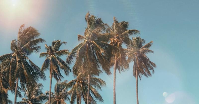 How In-Person Conferences Recharge My Ambition