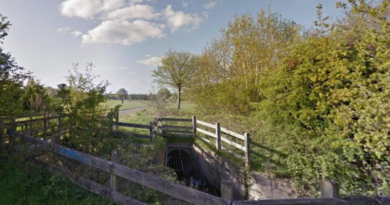 Nature lovers invited to explore city nature spot at night