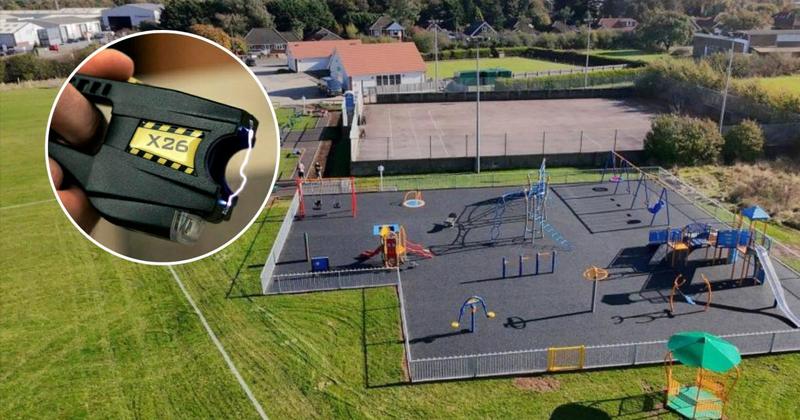 Children shocked with taser in park attack