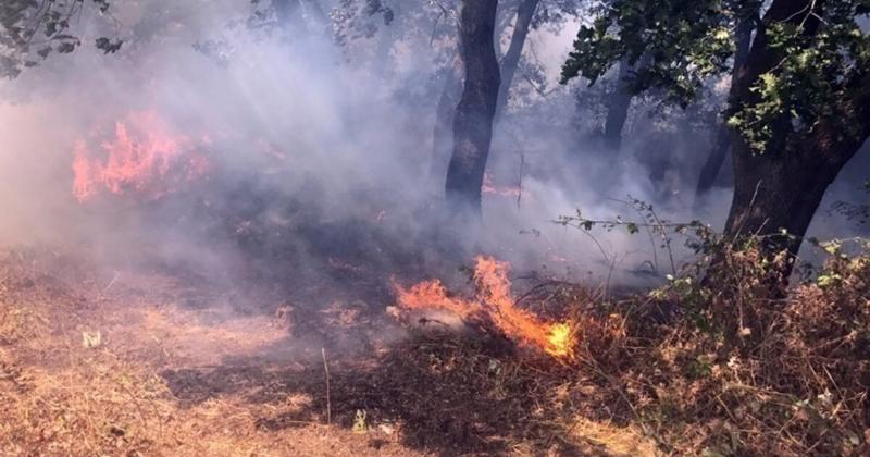 Η Ένωση Στρατιωτικών Π.Ε. Ηρακλείου για τις συνθήκες περιπολιών πυρασφάλειας