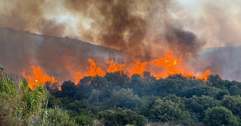 Τραγωδία στην Τουρκία: Δέκα δασεργάτες και εθελοντές πυροσβέστες σκοτώθηκαν σε πυρκαγιά στο Εσκίσεχιρ!