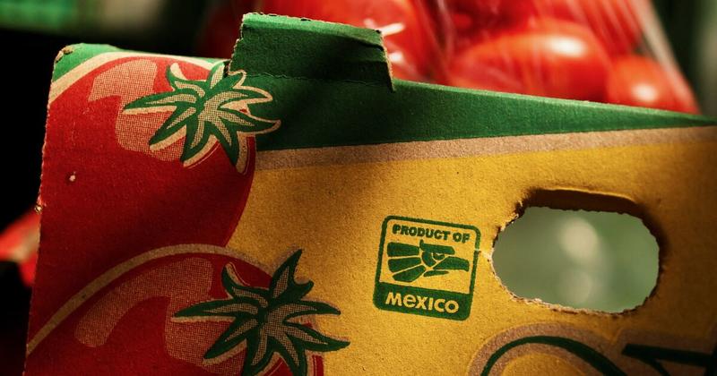 #ColumnaInvitada | Desafíos que enfrenta México a seis meses del nuevo gobierno de Trump