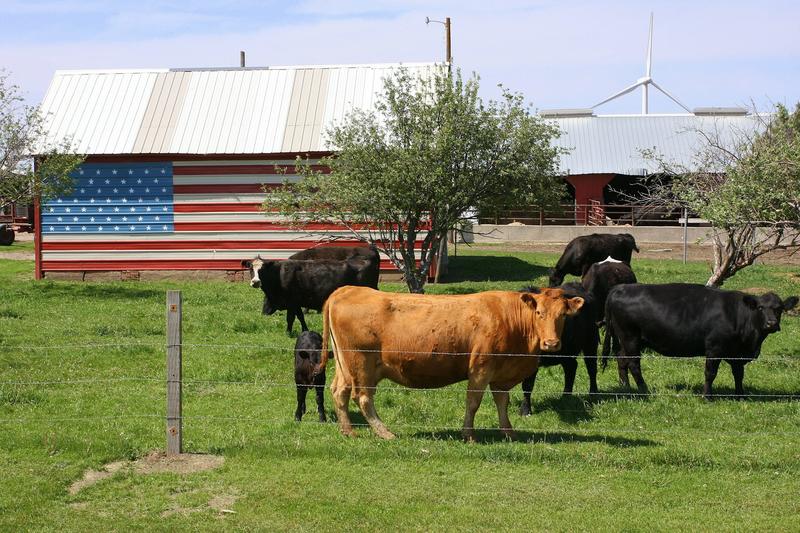 Australia says US beef will soon be welcome here again. It’s unlikely we’ll buy much of it