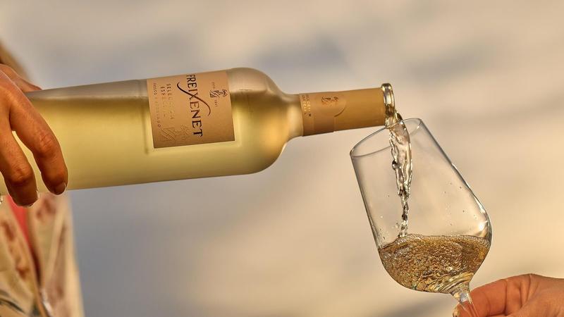 Freixenet renueva con estilo su gama de vinos más frescos y aromáticos