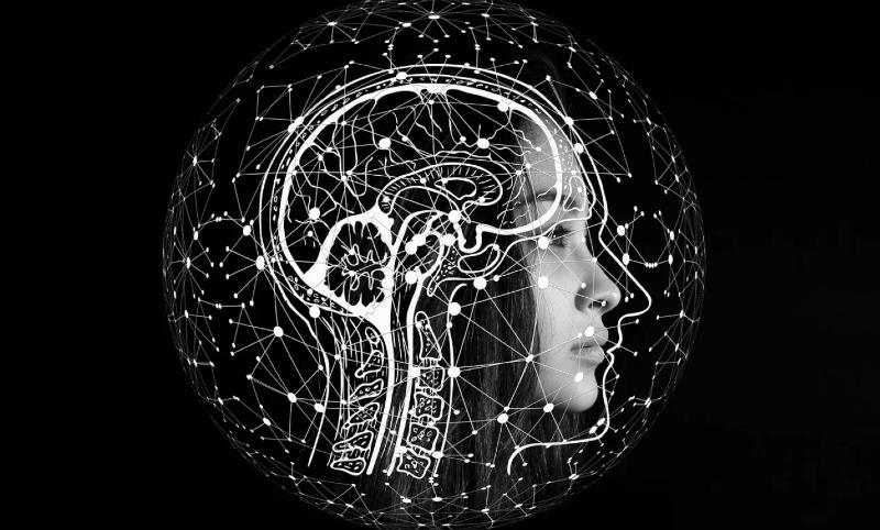 «La cultura del cuidado; como horizonte de tranquilidad»