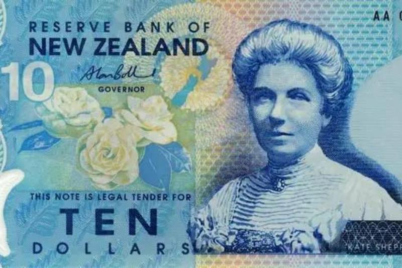 Seminatori di speranza La «pazzia» del voto alle donne? Tutto grazie a Kate Sheppard