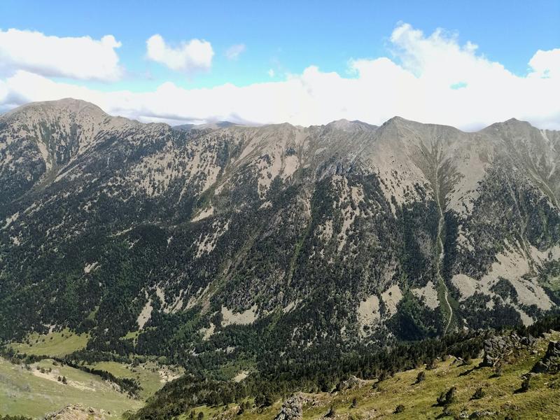 Dans les Pyrénées, la forêt ne s’étend pas aussi haut que le climat le lui permet