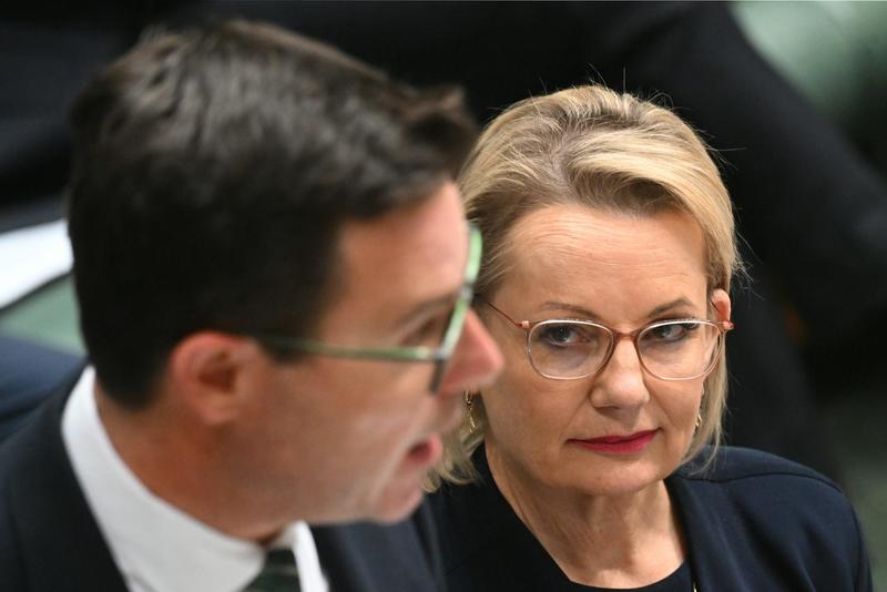 Grattan on Friday: net zero battle has net zero positives for Sussan Ley