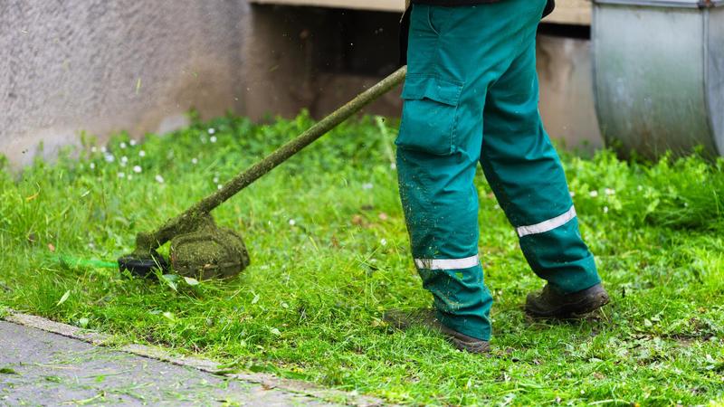 E’ in malattia ma lavora come giardiniere in nero e pure con un dipendente minorenne