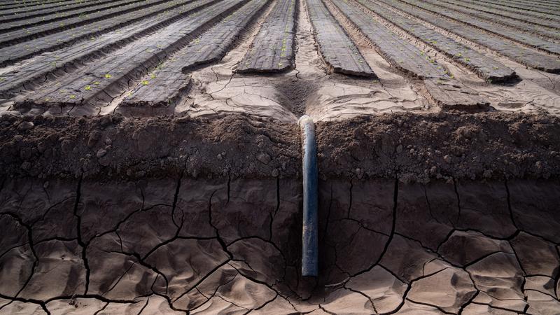 Yuma feeds the nation. Its farms need water to grow