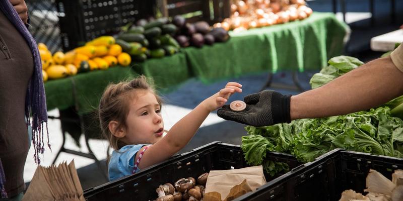 The GOP Is Taking Food From Kids to Give Billionaires a Tax Break