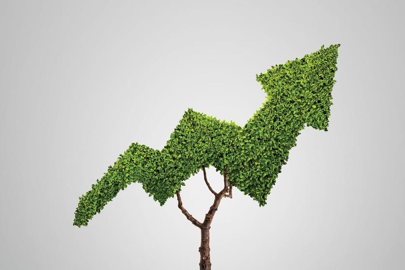 Want to Buy a Top-Tier Franchise? These Brands Rise Above the Rest.