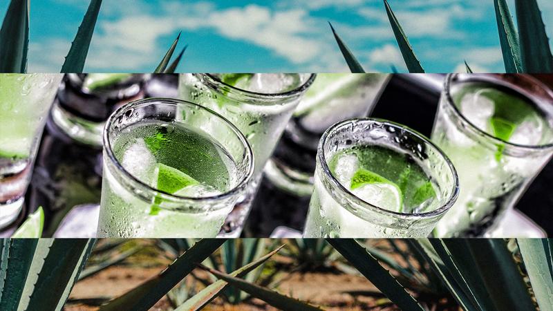 National Tequila Day 2025: Celebrate the beloved liquor with these deals