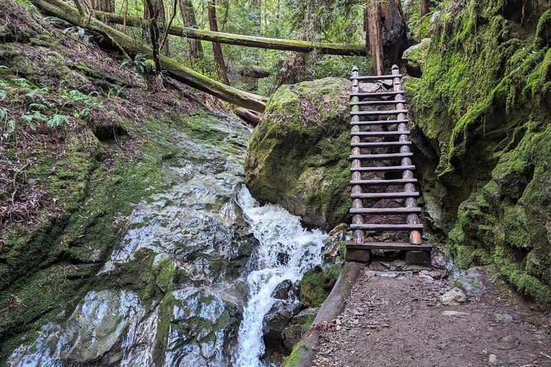 One of the Bay Area's best hiking trails closed due to 'unsafe' conditions