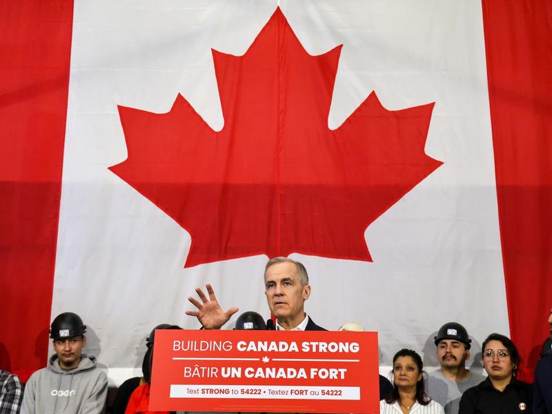William Watson: All checks, no balances here in Nastyland