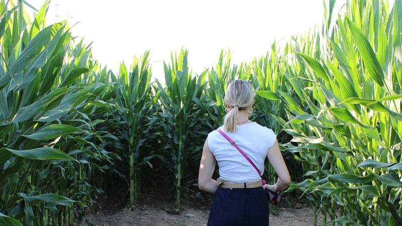Cosa fare a Milano nel weekend del 25, 26 e 27 luglio 2025