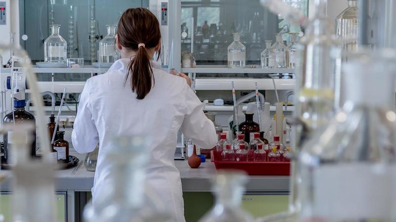 La sostanza dei ‘funghi magici' aumenta la longevità? Studio Usa: “La psilocibina allunga la vita cellulare del 50%”