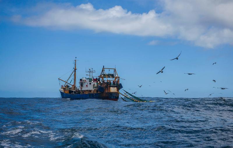 La majorité de la pêche industrielle dans les aires marines protégées échappe à toute surveillance