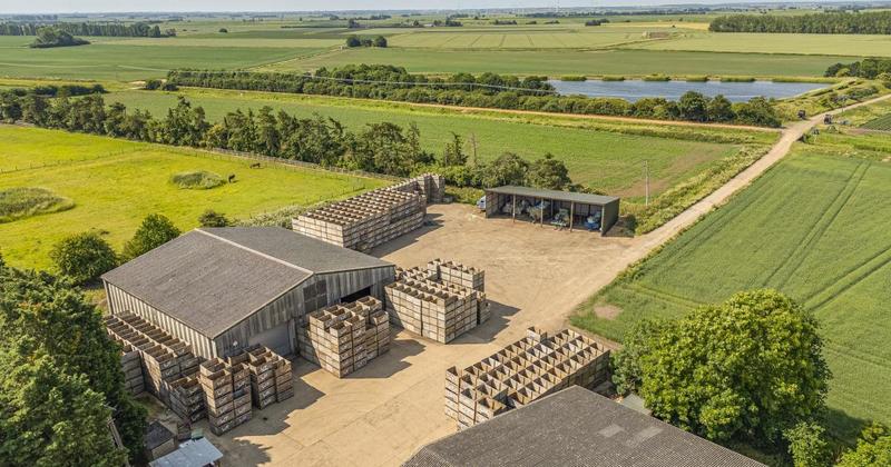‘Significant’ 1,100-acre fenland arable farm is up for sale at £13.5m
