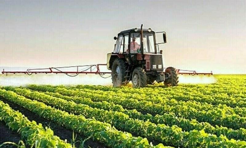 Dismantling DPP: a risky gamble with Pakistan’s food security