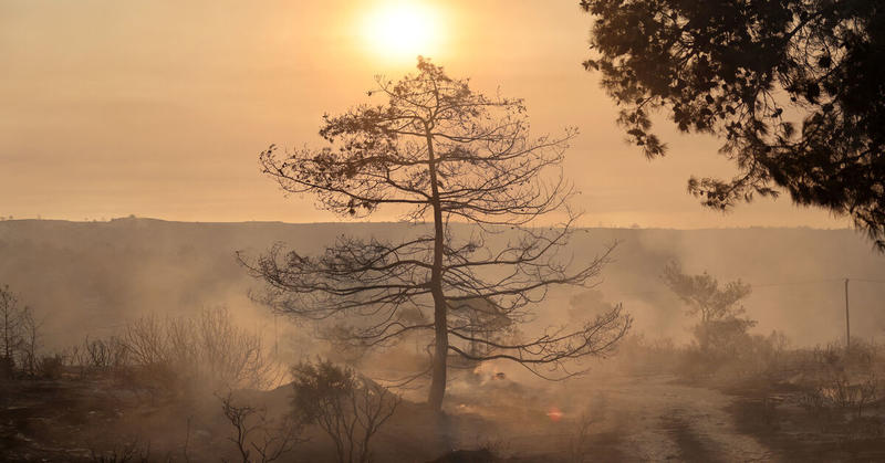Two dead, homes burn in massive Cyprus wildfire