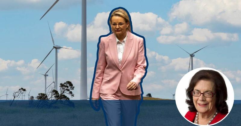 Net zero battle has net zero positives for Sussan Ley
