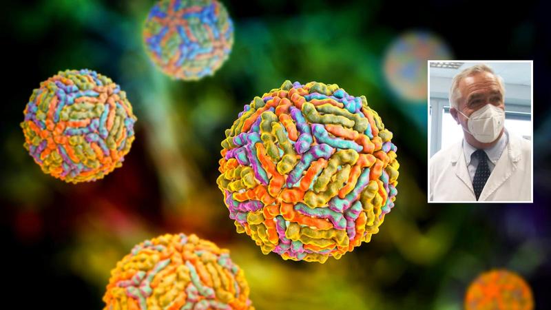 Incubo West Nile, l’esperto: il virus è endemico, negli anziani mortalità vicina al 10 per cento