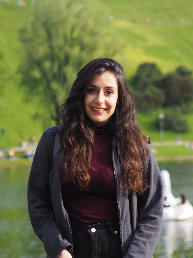 Uluslararası Adalet Divanı: Devletler, iklim değişikliği ile mücadele etmekle yükümlü; yerine getirmemek, tazminat taleplerine neden olabilecek
