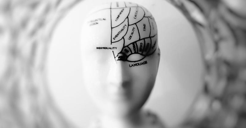 Understanding the Brain’s “Action Mode”