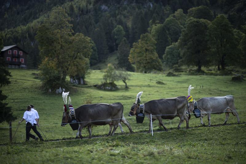 Wenn Fremdes fremd bleibt: Stadt, Land und Vorurteil