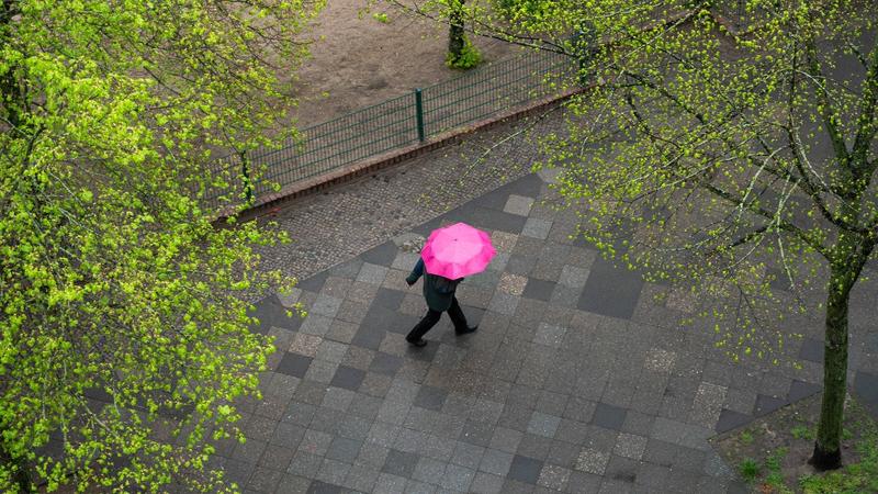 Regen, Regen und kein Ende: Die Ursachen für den nassen Juli