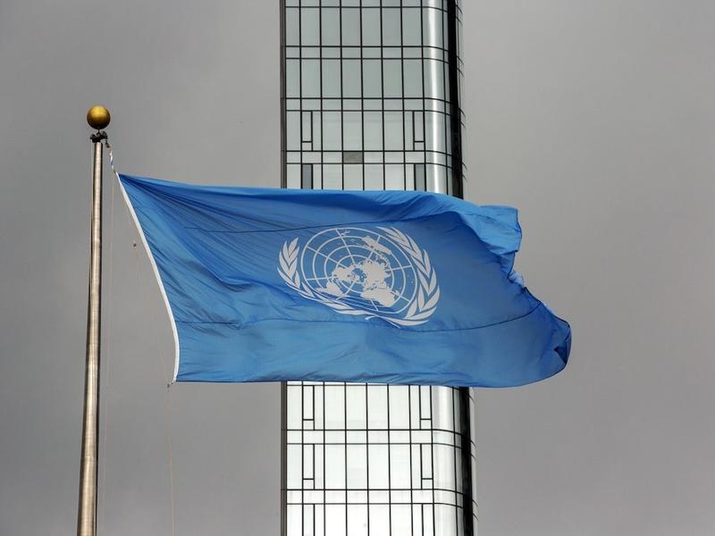 MIchael Higgins: Sex is real. Even the UN thinks so